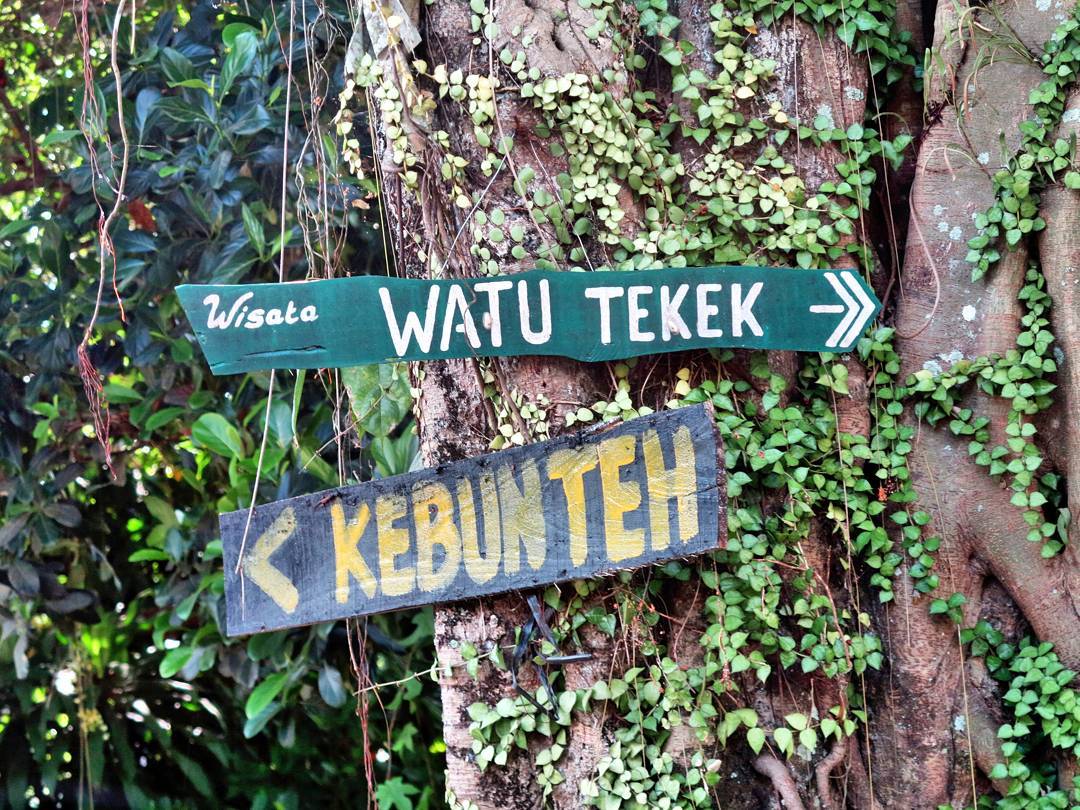 Tempat Wisata Jogja Instagram Watu Tekek Samigaluh Kulonprogo